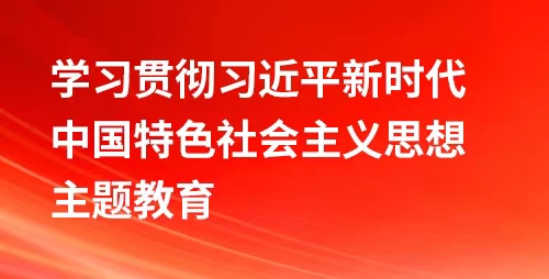 学习贯彻习近平新时代中国特色社会主义思想主题教育