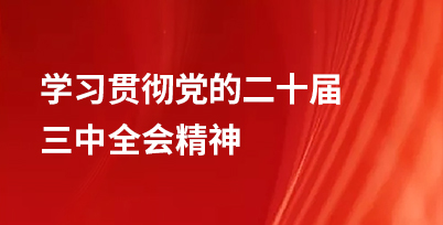 学习贯彻党的二十届三中全会精神