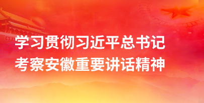 学习贯彻习近平总书记考察安徽重要讲话精神