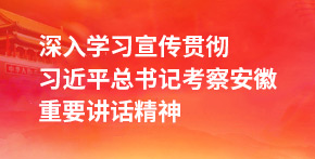 深入学习宣传贯彻习近平总书记考察安徽重要讲话精神