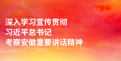 学习贯彻习近平总书记考察安徽重要讲话精神